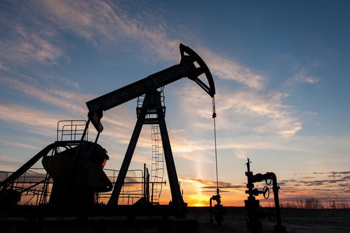 俄副總理透露歐佩克+將在12月前維持自愿減產，天然氣儲運成能源市場關鍵議題